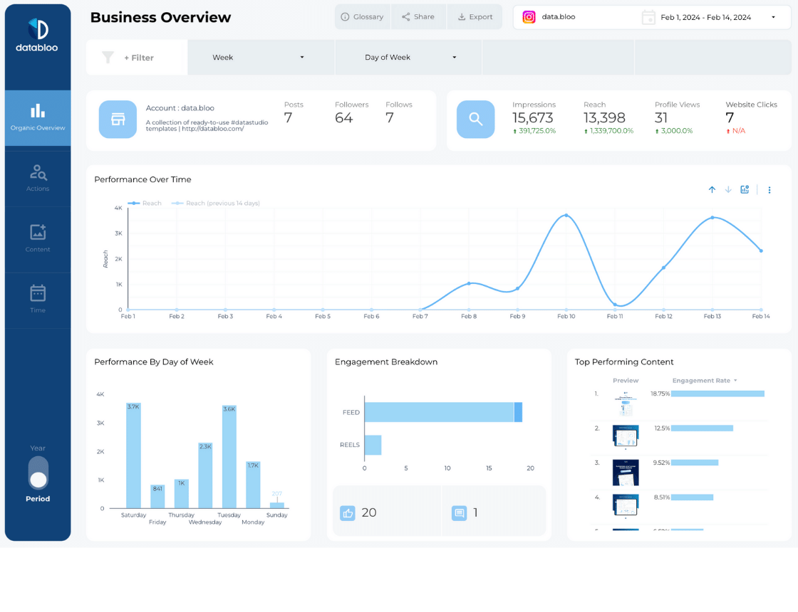 Instagram Insights Looker Studio Template - Business Overview - Data Bloo