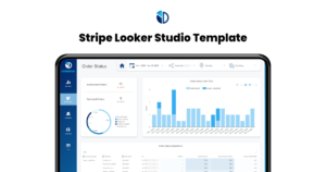 Stripe Looker Studio Template - Data Bloo
