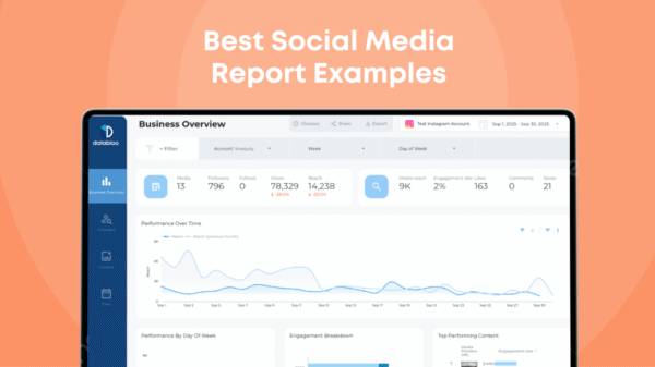 7 Best Social Media Report Examples for 2026 - Data Bloo